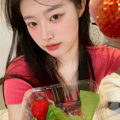 盒子塔防官方版下载